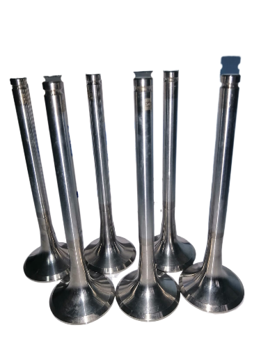 WhatsApp Image 2024 08 22 at 4.50.36 PM fotor bg remover 202408221752 1