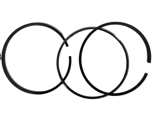 WhatsApp Image 2025 11 25 at 10.01.14 AM fotor bg remover 2025112512958