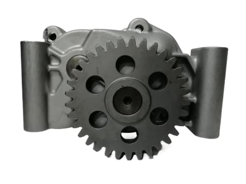 WhatsApp Image 2025 11 26 at 4.25.50 PM fotor bg remover 20251201161845