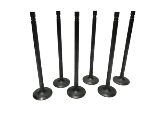 WhatsApp Image 2025 11 28 at 2.56.02 PM fotor bg remover 2025120311342