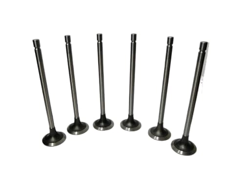 WhatsApp Image 2025 12 11 at 11.26.25 AM fotor bg remover 2025121112449