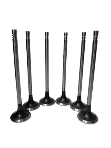 WhatsApp Image 2025 12 11 at 11.26.26 AM fotor bg remover 2025121112466