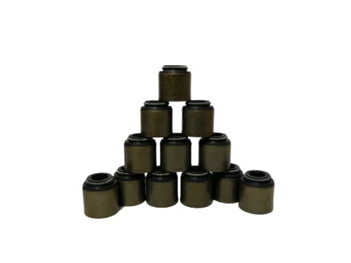 WhatsApp Image 2025 12 11 at 11.26.29 AM fotor bg remover 2025121112214