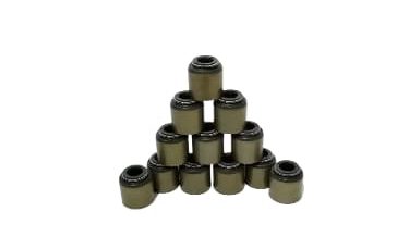 WhatsApp Image 2025 12 11 at 11.26.29 AM fotor bg remover 2025121113419 e1765828608120