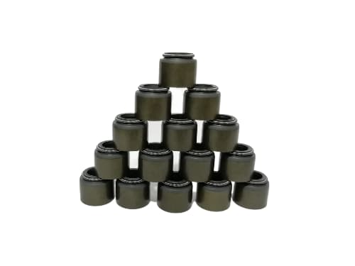 WhatsApp Image 2025 12 11 at 11.26.30 AM fotor bg remover 20251211122238