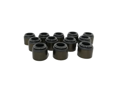 WhatsApp Image 2025 12 11 at 11.26.30 AM fotor bg remover 20251211123621