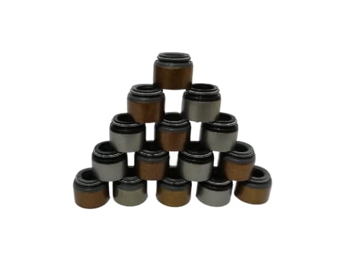 WhatsApp Image 2025 12 11 at 11.26.31 AM fotor bg remover 20251211122745 1