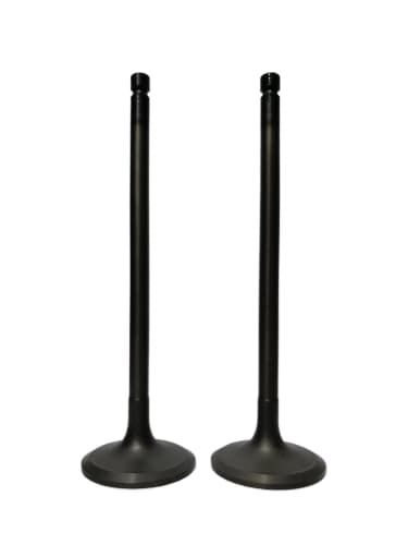 WhatsApp Image 2025-12-11 at 11.26.42 AM-fotor-bg-remover-20251215122556