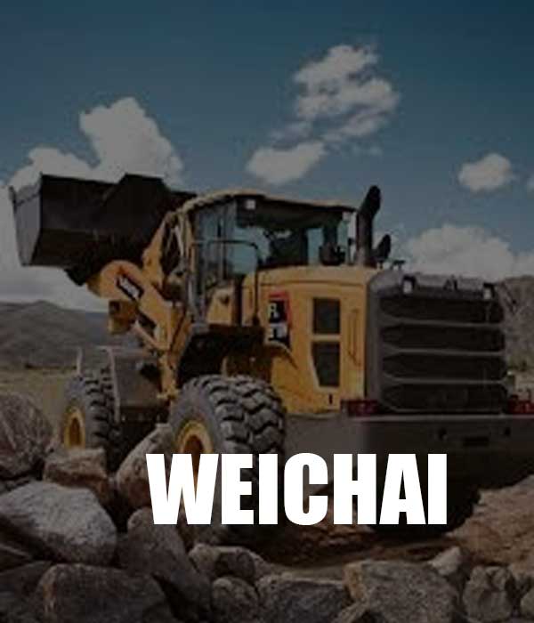marca weichai