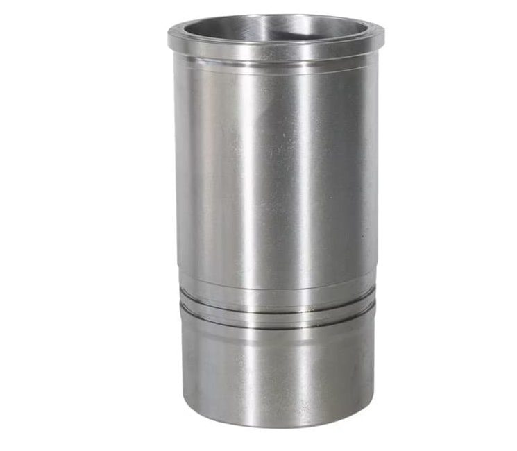 Presentacion1 1 e1773155171776